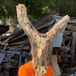 Michael Studer - @michael_der_studer - Instagram