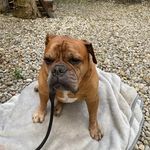 Michael Studer - @studergmbh - Instagram
