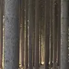 Michael Studer - @michaelstuder19 - TikTok