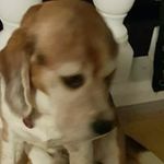 Michaela Stühler - @michaelastuhler - Instagram
