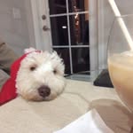 Michael Sturgess - @sturgessmc - Instagram