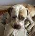 Michael Sturgess - Facebook