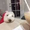 Michael Sturgess - @michael.sturgess - TikTok