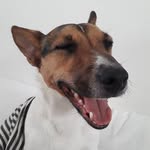 Michael Sturgess - @mikeysturgess - Instagram