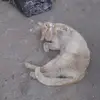Michael Stutesman - @michael.stutesman - TikTok