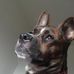 Michal Suda - Facebook