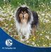 Michael Suer - Facebook
