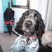Michael Sugden - Facebook
