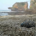 bambang bayu saptaji - @michaelsultan_ - Instagram