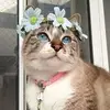 Michael Sultan - @michaelsultan31 - TikTok