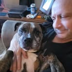 Todd Michael Suppes - Facebook