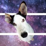 Michael S - @michaelsusilo - Instagram