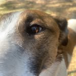 Michael Sutton - @michael.sutton1 - Instagram