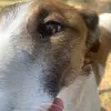 Michael Sutton - @michael.sutton08 - TikTok