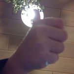 Michael Svec - @michael_svec - Instagram
