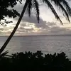 Michael Swaner - @michael.swaner - TikTok