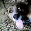 Michael Swayne - @me3lingual - TikTok