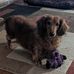 Michael Sweeting - Facebook