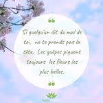Michaël Sylvain - @michaelsylvain9 - Instagram