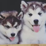 michael - @michael_symeonides2 - Instagram