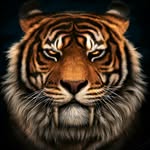 Michael Symes - @michael.symes - Instagram
