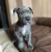 Michael Symington - Facebook