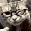 Michael tal - @mikhailtal888 - TikTok