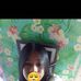 Micheal Tallo - Facebook