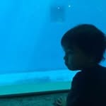 Michael Tanabe - @tanabemichael - Instagram