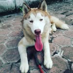 ✎ⓂⒾⒸⒽⒶⒺⓁ ⓉⒶⓃⓉⓄⓌⒾ - @michael_tantowi123 - Instagram