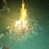 Michael Tappan - @michaeltappan496 - TikTok