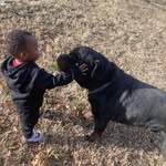Michael Tardy - @tardy1959 - Instagram