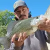 Michael - @michael.tarlton - TikTok