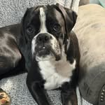 Michael Todd Tarlton - @tarltonmichael - Instagram