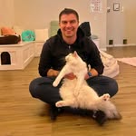Michael Tatar - @michaeltatartv - Instagram
