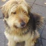 Michael Taube - @michael_taube_ - Instagram