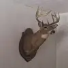michaeltauber8 - @michaeltauber8 - TikTok