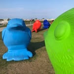 Michael Tauscher - @mrtausch - Instagram