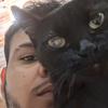 Michael D. Silva - @michaeld.teach - TikTok