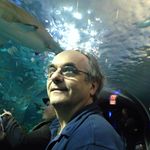 Michael Telep - @michael.telep.1 - Instagram