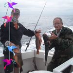 Michael Tempel - @michael.tempel.94 - Instagram