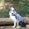 Michael Tempels - @michaeltempels - TikTok