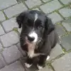 michaeltener - @michaeltener - TikTok
