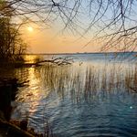 Michael Tenner - @koobecaf99 - Instagram