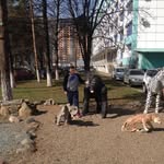 Michael _ Terekhov - @michael_.terekhov - Instagram