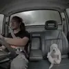 Michael Terrell - @michael.terrell82 - TikTok