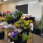 Michael Tesselaar Wholesale - @michaeltesselaarflowers.tsv - Instagram