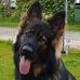 Michel Teunissen - Facebook