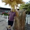 Michael Tham - @michael.tham1 - TikTok