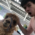 Michael Tham 🌵 - @michaelktham - Instagram